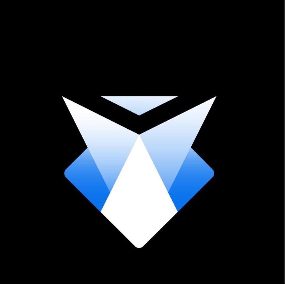 LOGO CYBERFOXS